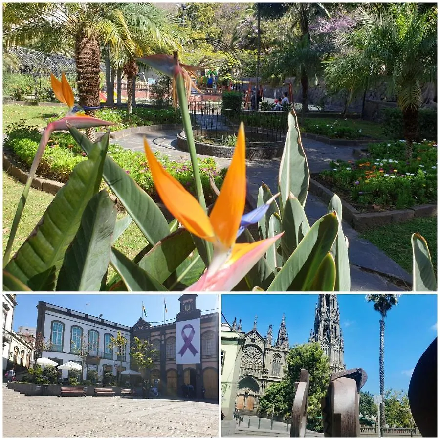 Villa CASA ISABEL Terraza Arucas Сasa de vacaciones